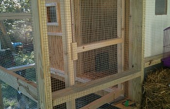 Quail Coop inside the screen house