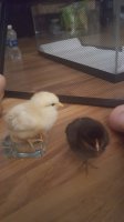 20170519_094246.jpg
