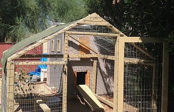 Resin Shed Coop