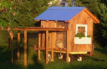 The Nags Head Chicken Coop Tractor