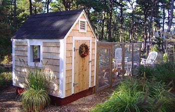 Buff Hooliganss Chicken Coop