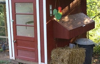 The Bakers Dozen Chicken Coop