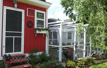 700 (7).jpg