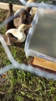 20170517_085220.jpg