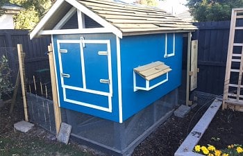 Blue on Blue (on Blue) Kiwi Urban Coop