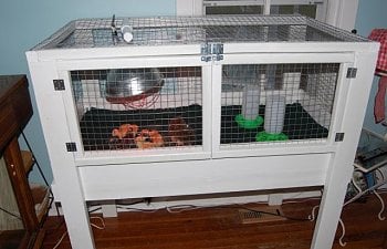 The Brooder Pen