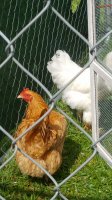 20170522_161918.jpg