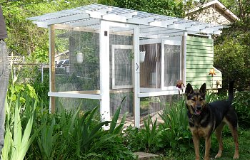 Detroit Chicken Coop with a Pergola