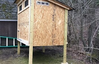 Green chicken coop