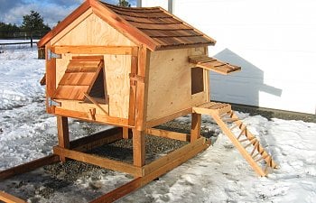 Funky Chicken Coop