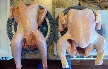 Using Older Chickens For Meat Purposes