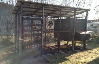 Recycled wood coop