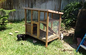 Rabbit Hutch Style Coop And Run