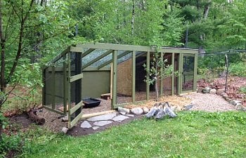 Massachusetts Duck Coop