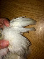 IMG_2073.JPG
