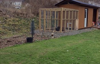 Our 3rd and final coop? Maybe?