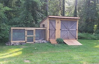 First Time Chicken Coop