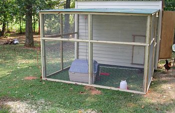 Chknfrmrs Member Page