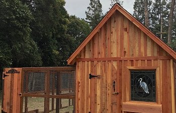 Our Chicken Coup