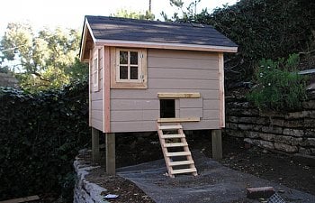 Skatcatlas Chicken Coop