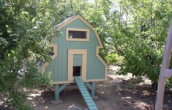 Philervins Yucaipa Chicken Coop