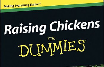 Raising Chickens For Dummies Book - All You Need To Know In One Book