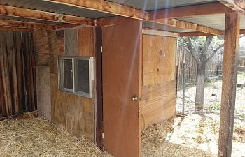 upcycled chicken coop