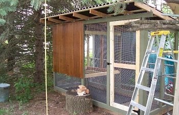 Chris10sens Chicken Coop