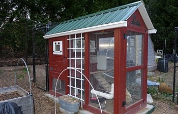 Appalachian Cabin Playhouse Coop