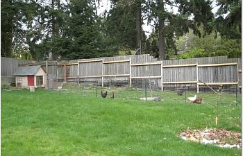 Chicken Coop Made With Recycled Materials