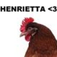 Henriettahen