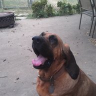 onecrazyblackredneck