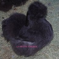 LaPetiteFarmer