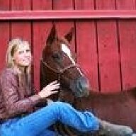 chicksnhorses22
