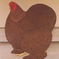 chickenlover3