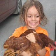 Mohawk Chickens