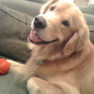 Huckleberry