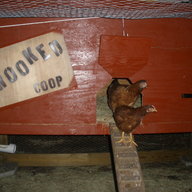TheCrookedCoop