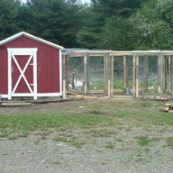LastDollarFarm