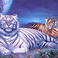 Animalluver91