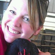 Random Bantam