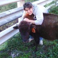 runswithbuffalo