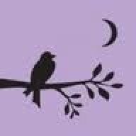 Lovebird