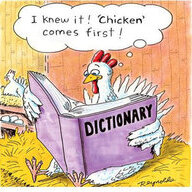 Dixie Chick