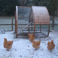 Jos Hens