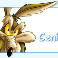 wileecoyote