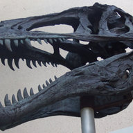 PaleoDan