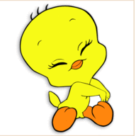 Ms Pato