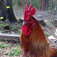 twsfarm