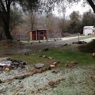 Sandeeland